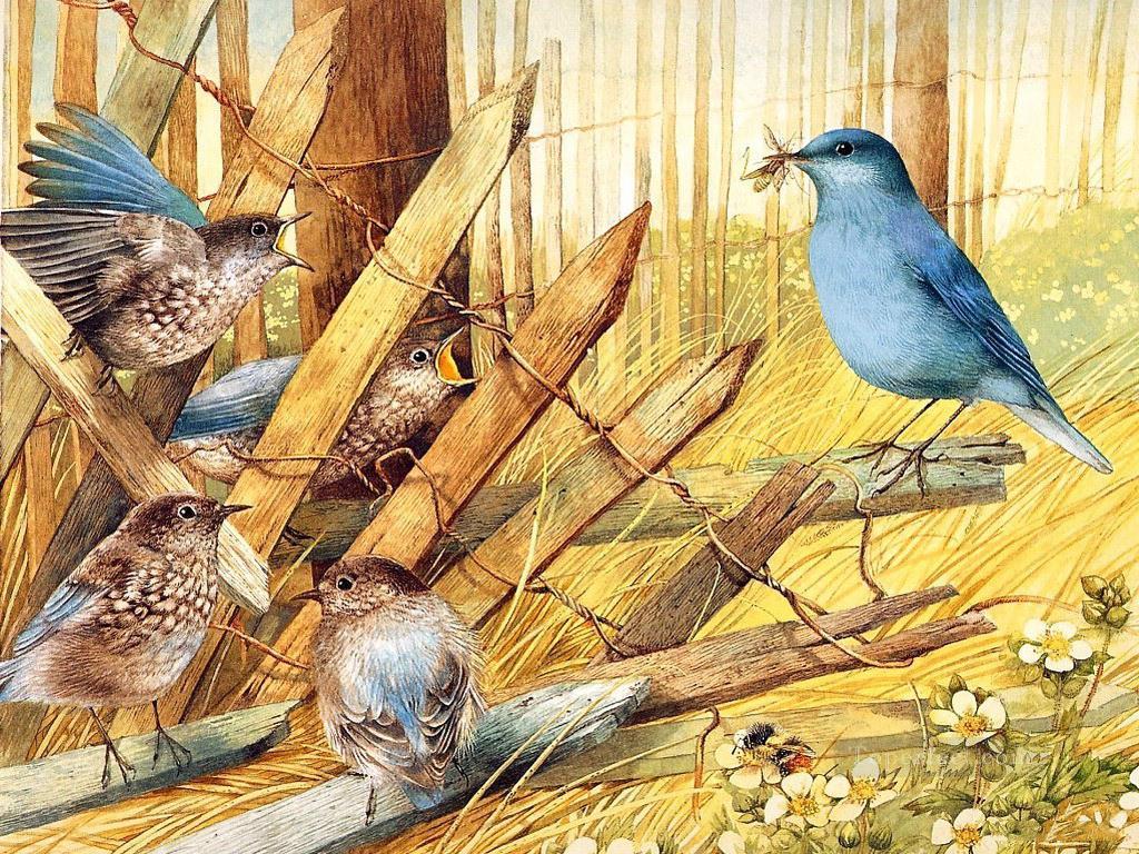 bird feeding in autumn Oil Paintings